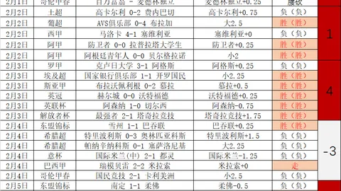 2025年欧洲杯西班牙国家队阵容揭晓